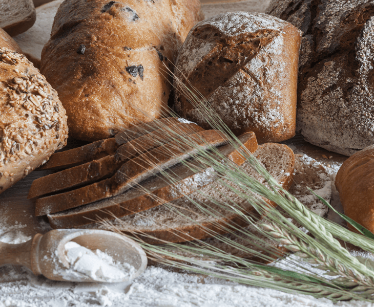 Les biscottes : font-elles grossir plus que le pain ?